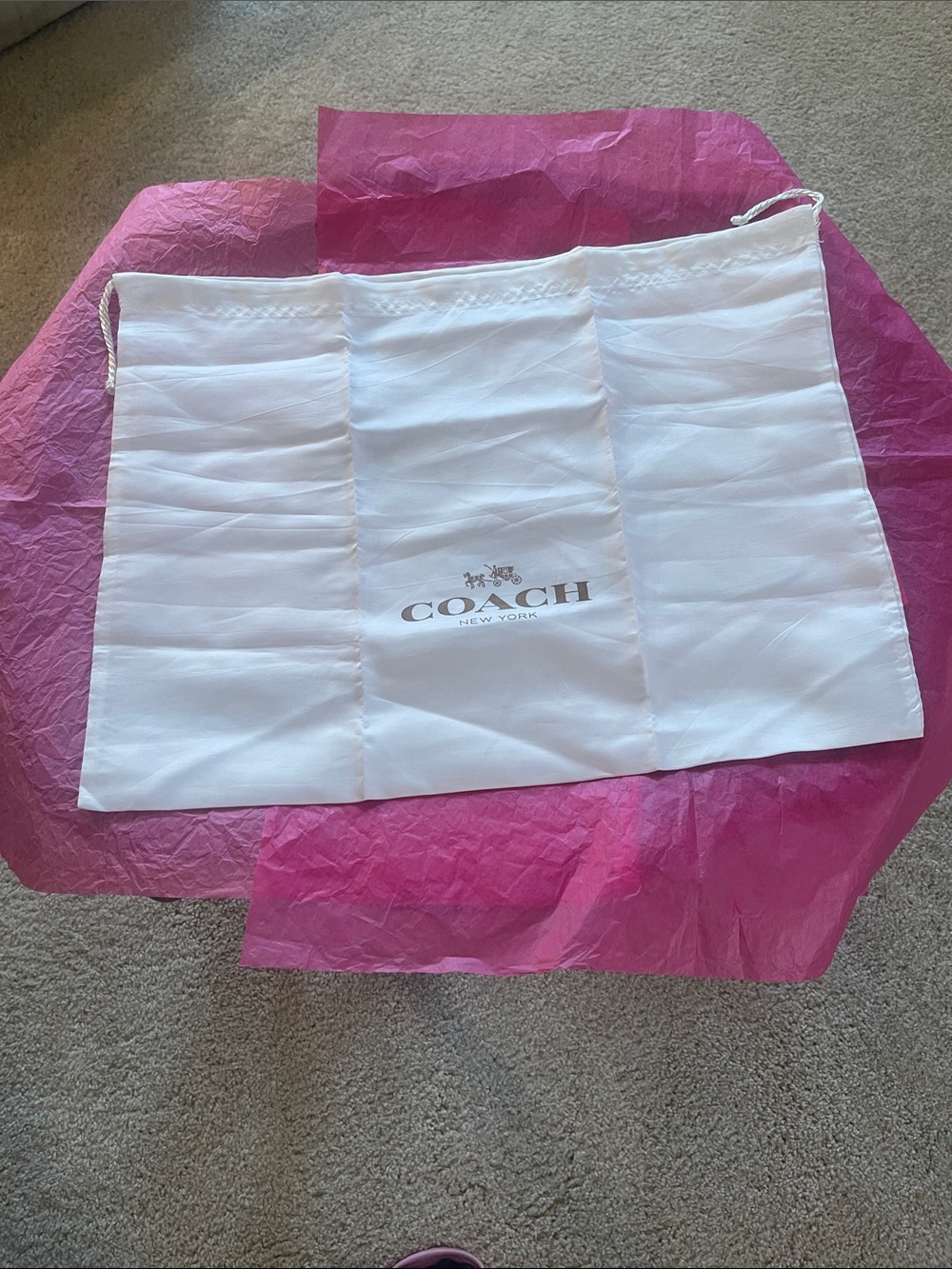 Protective satin dust storage bag.